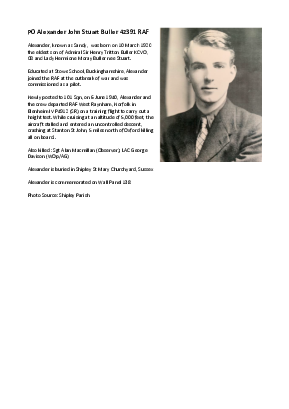 A preview of a PDF biography for Buller, Alexander John Stuart